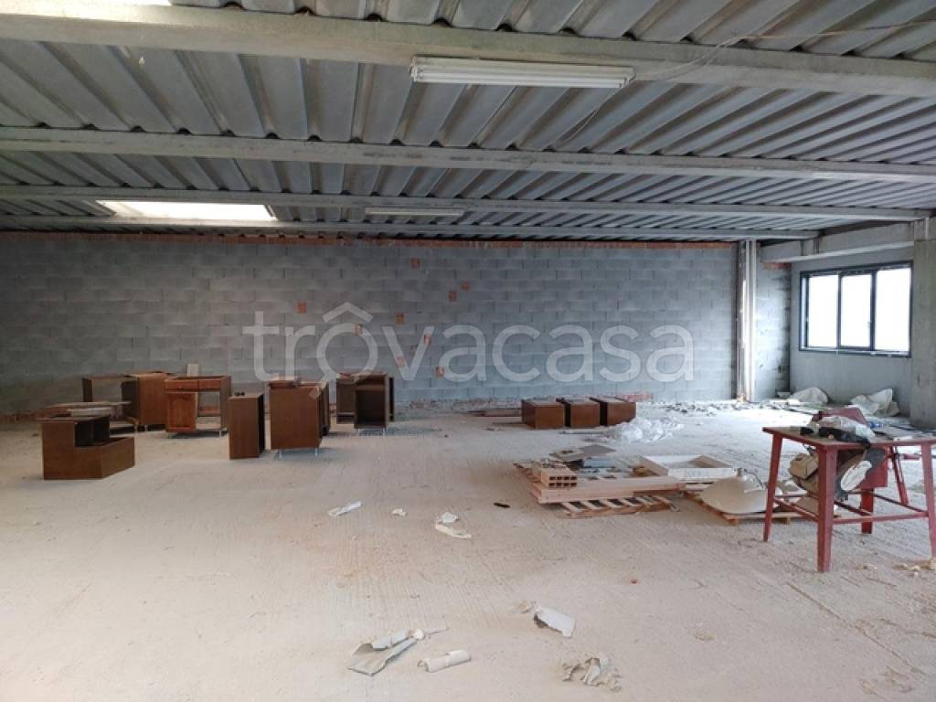 immagine annuncio 3 di 7