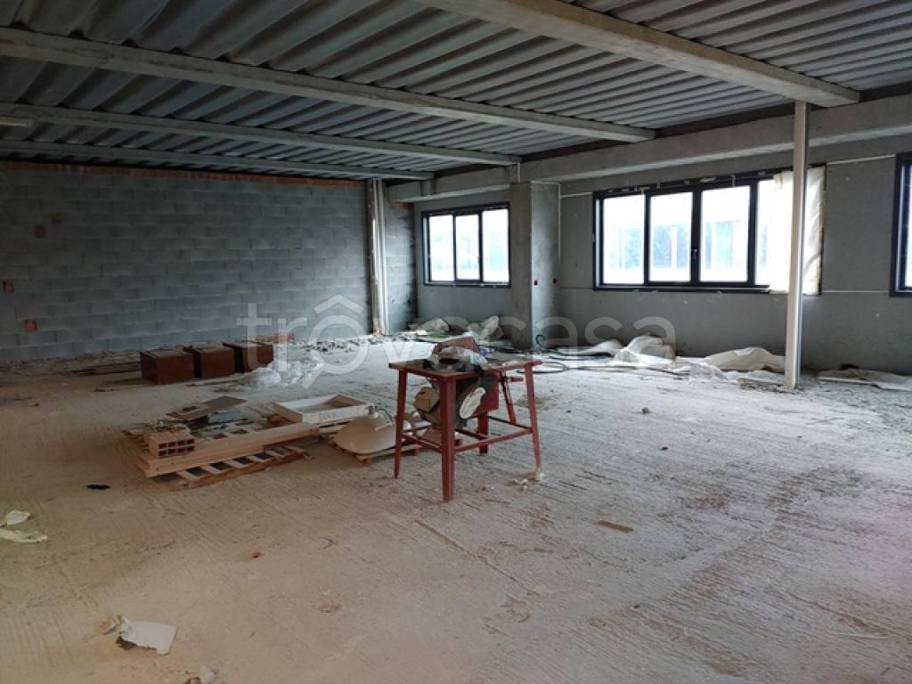 immagine annuncio 4 di 7