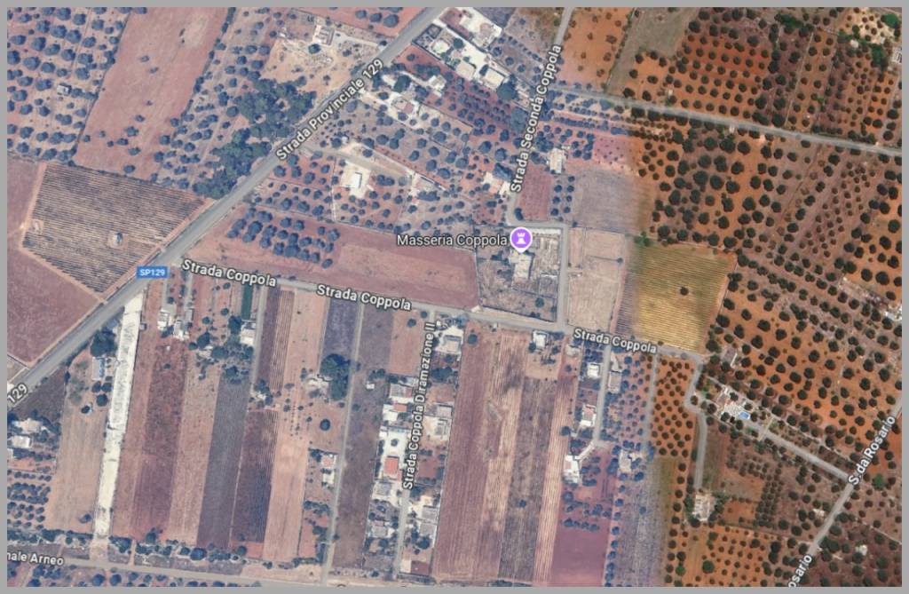 immagine annuncio 9 di 15