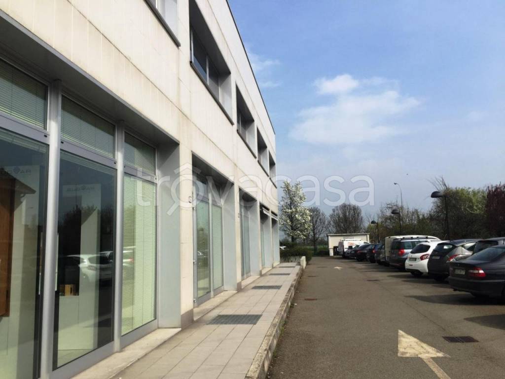 immagine annuncio 14 di 15