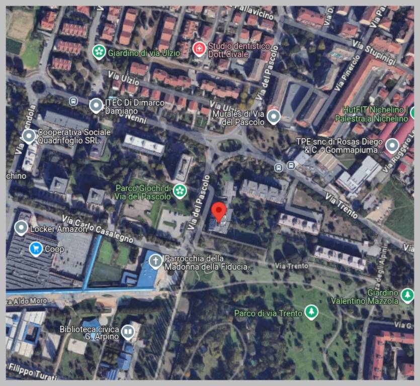 immagine annuncio 9 di 15