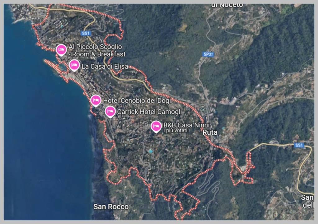 immagine annuncio 11 di 15