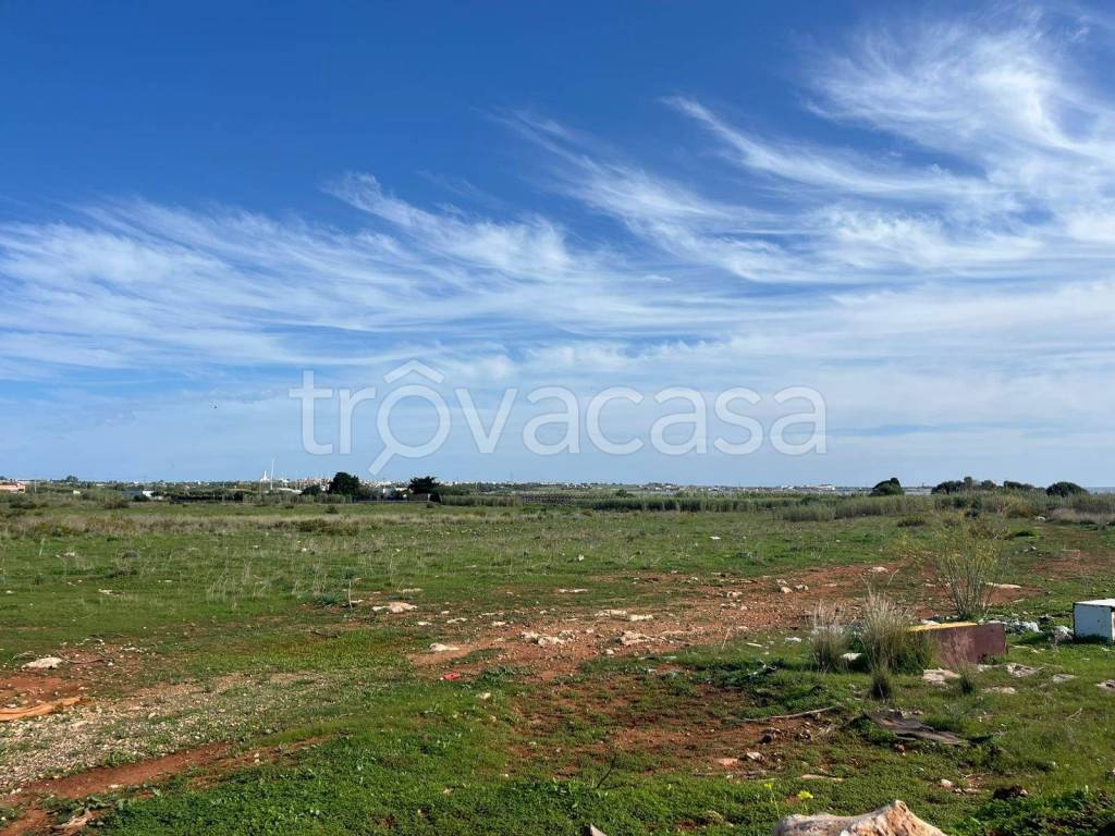 immagine annuncio 3 di 7