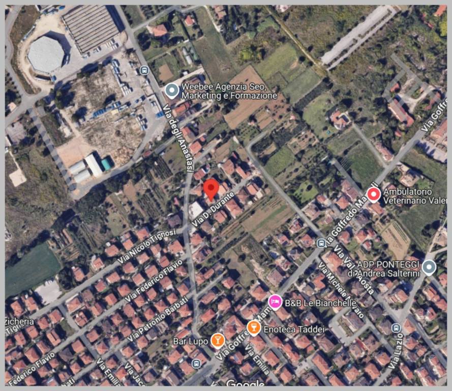 immagine annuncio 8 di 15