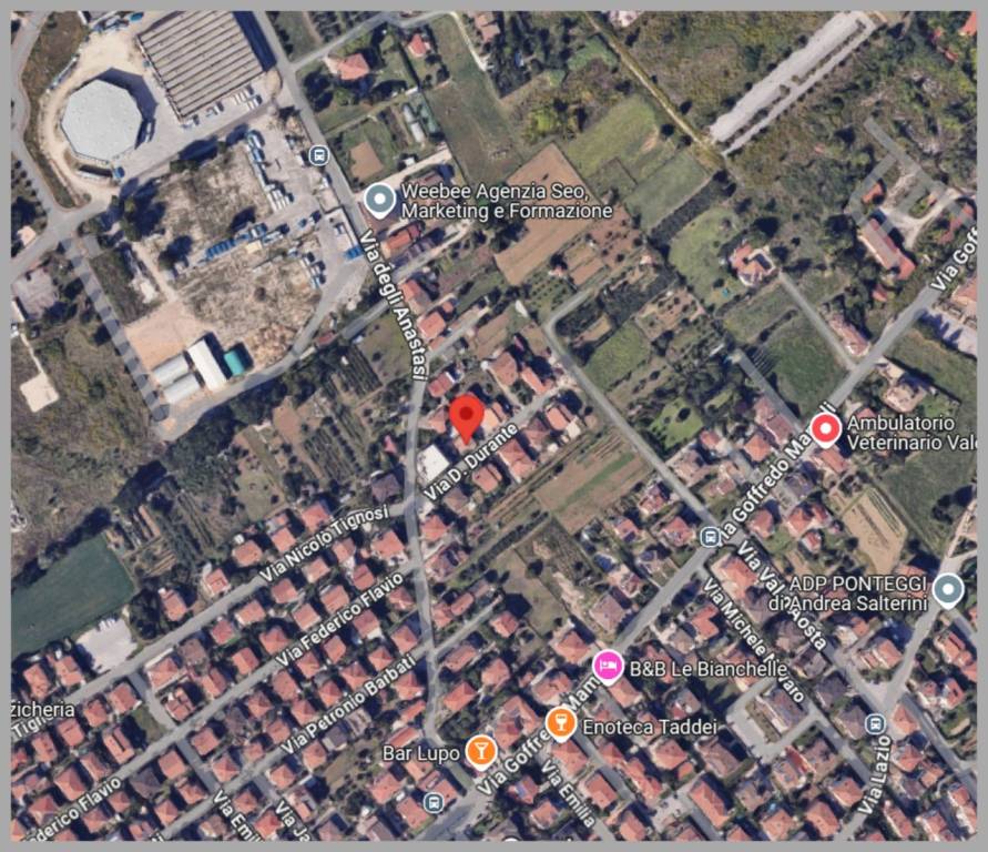 immagine annuncio 12 di 15