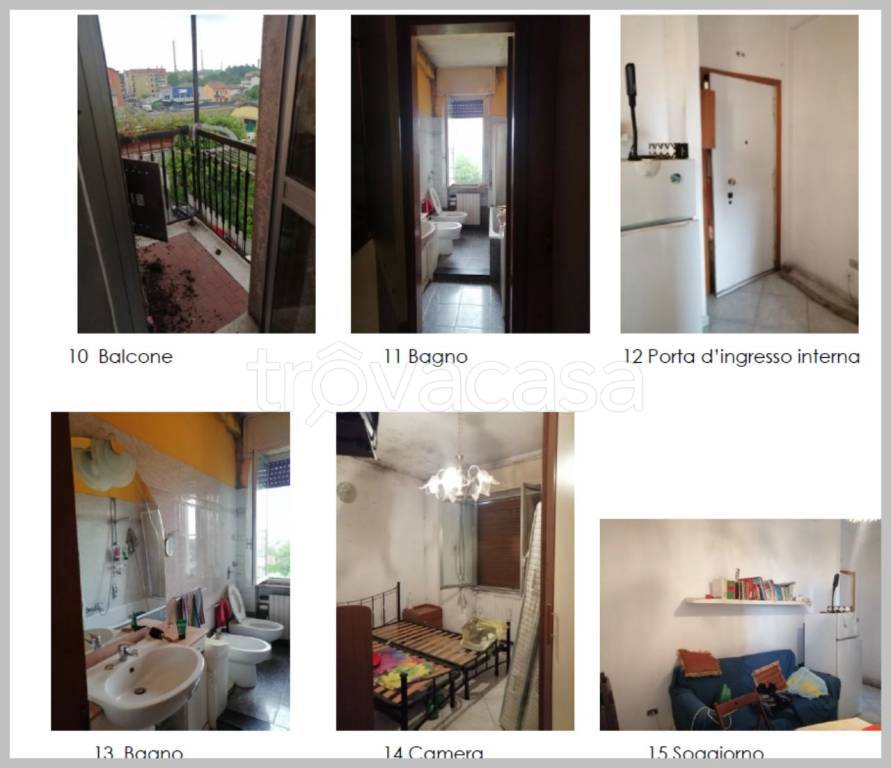 immagine annuncio 14 di 15