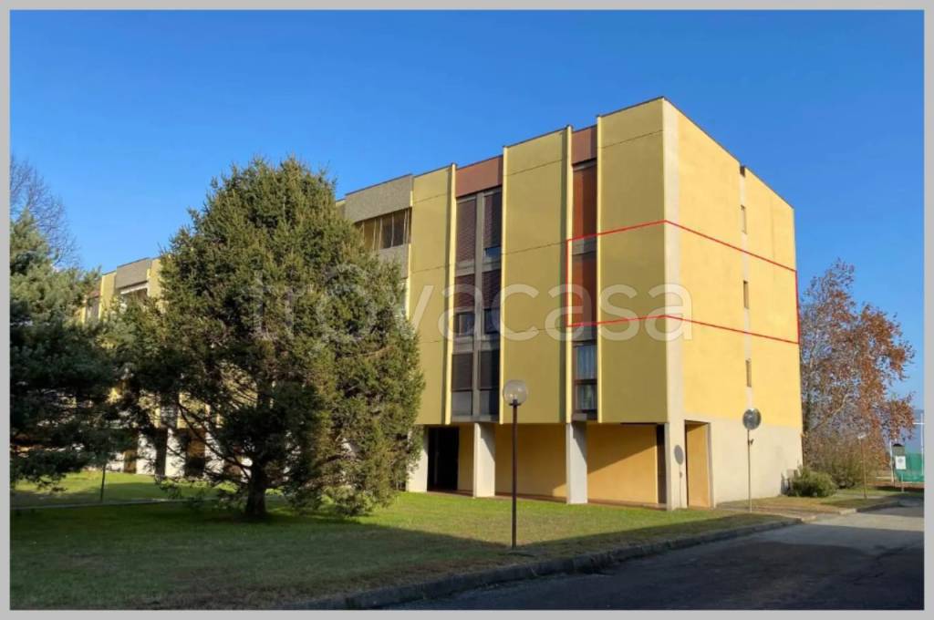 immagine annuncio 11 di 15