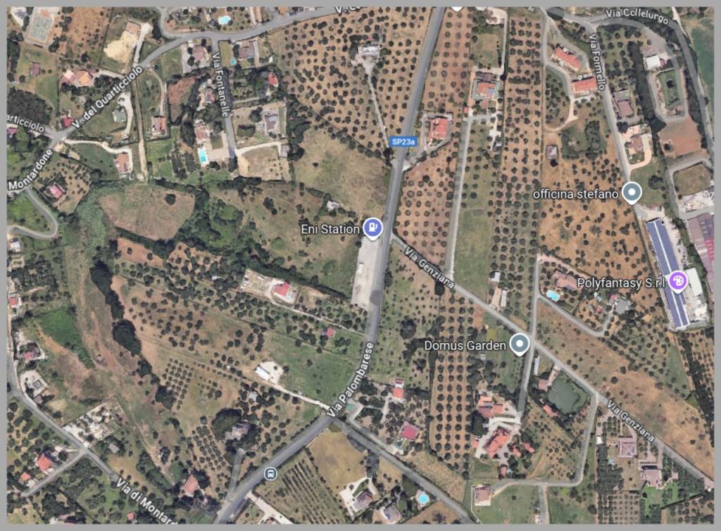 immagine annuncio 9 di 15