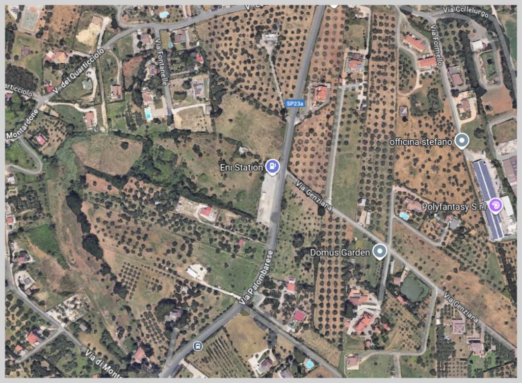 immagine annuncio 12 di 15