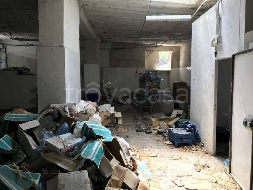 immagine annuncio 3 di 8