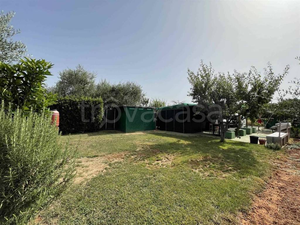 immagine annuncio 1 di 11