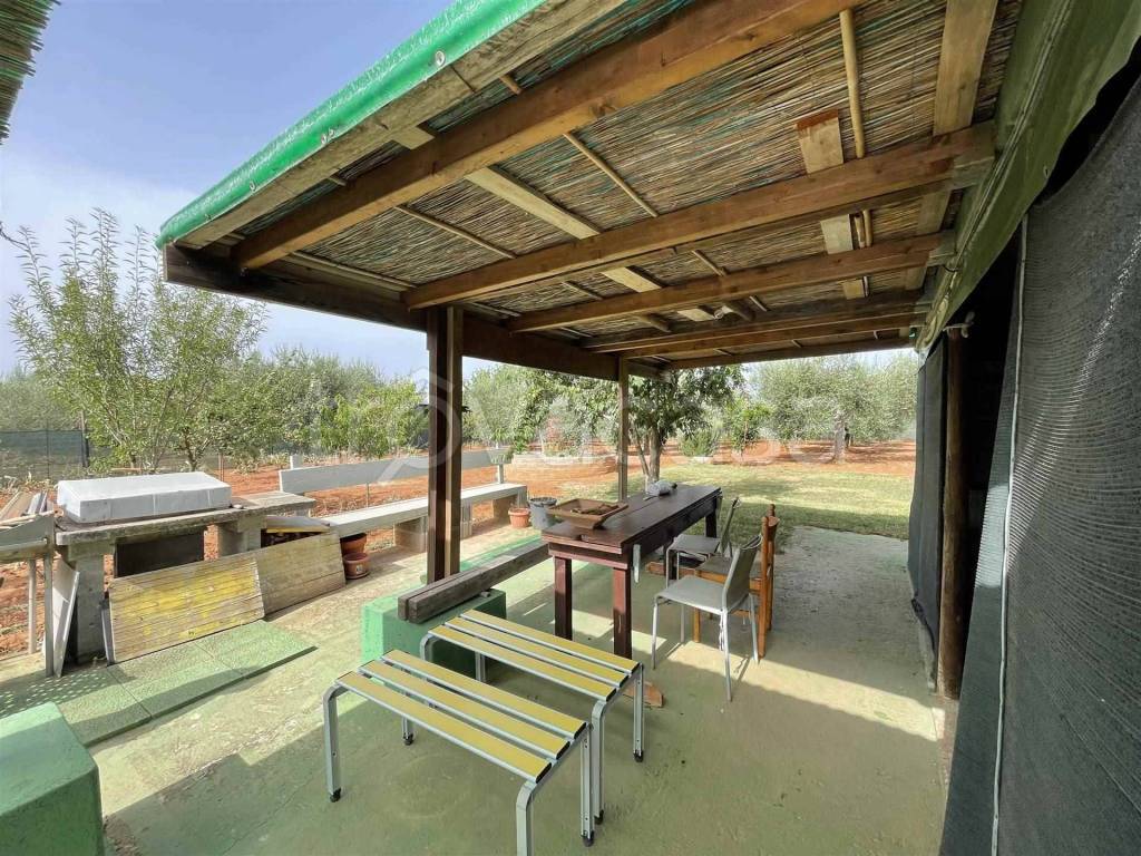 immagine annuncio 2 di 11