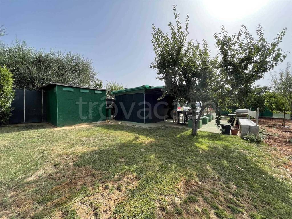 immagine annuncio 5 di 11