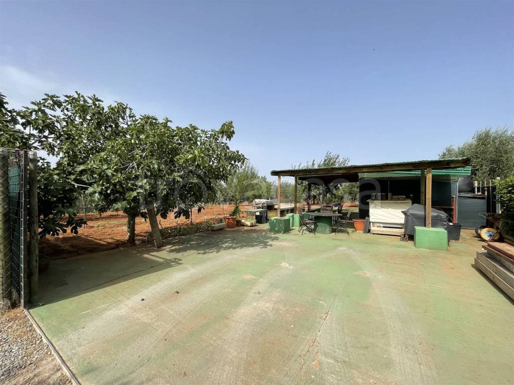 immagine annuncio 10 di 11