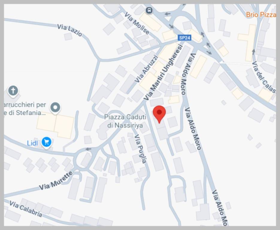 immagine annuncio 12 di 15