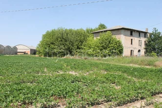 immagine annuncio 6 di 8