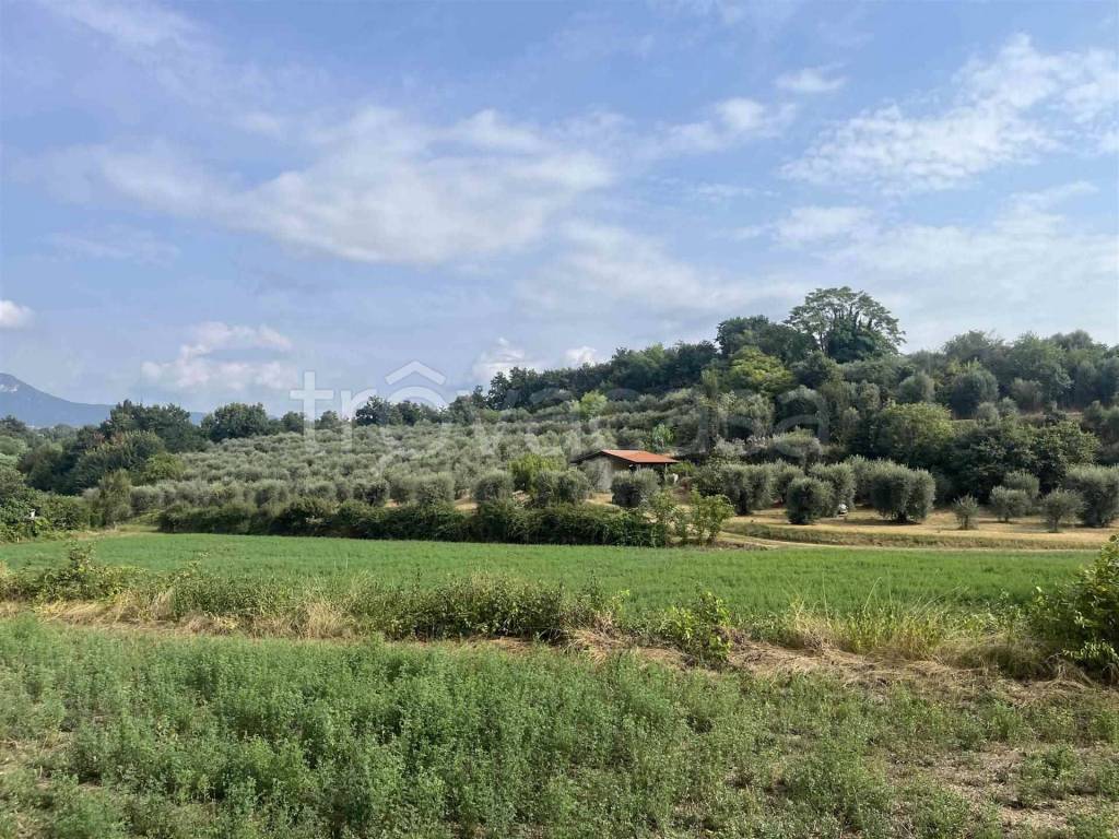 immagine annuncio 2 di 6