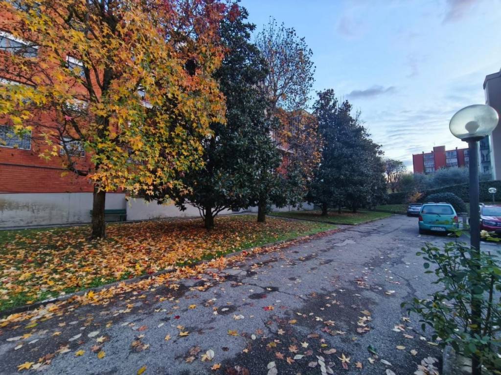 immagine annuncio 1 di 14