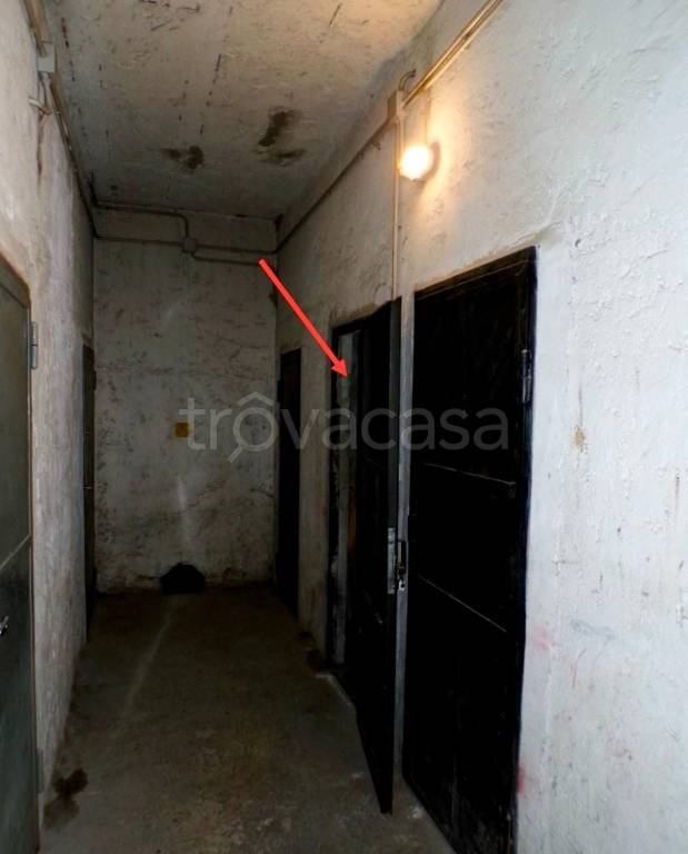 immagine annuncio 1 di 4