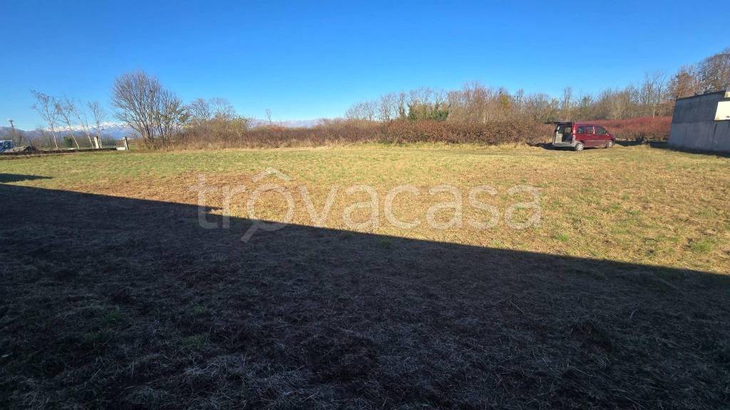 immagine annuncio 3 di 12