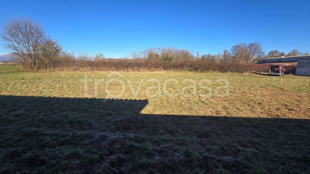 immagine annuncio 5 di 12