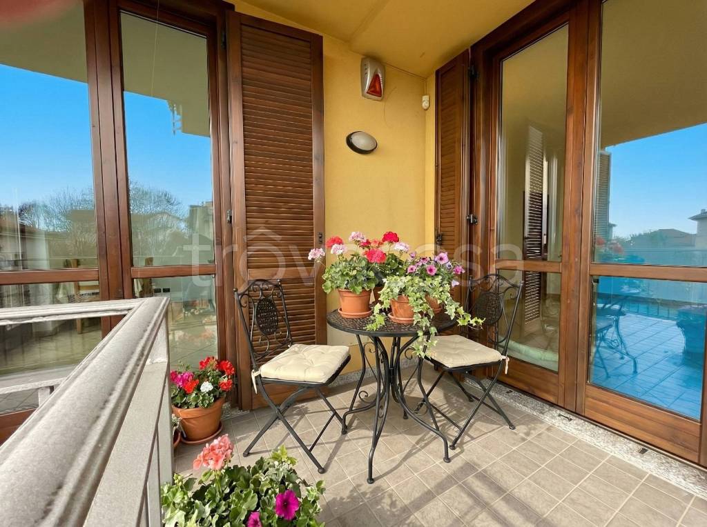 immagine annuncio 11 di 15