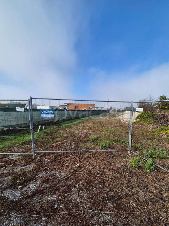 immagine annuncio 2 di 6