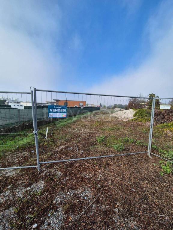 immagine annuncio 3 di 6