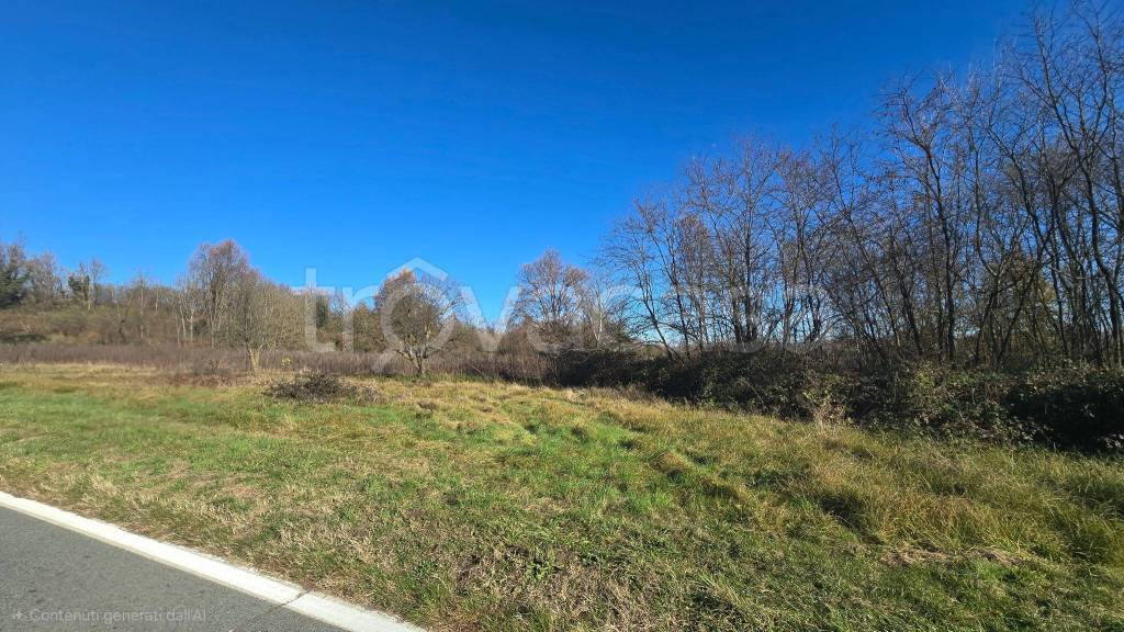 immagine annuncio 6 di 8