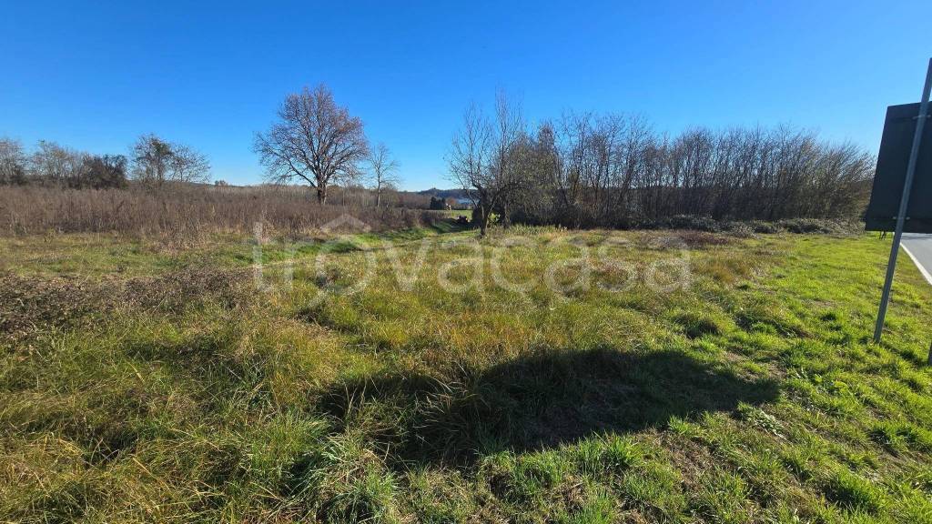 immagine annuncio 5 di 8