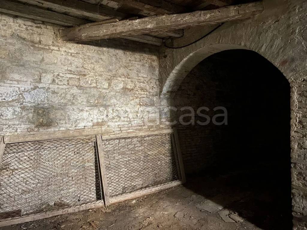 immagine annuncio 12 di 14