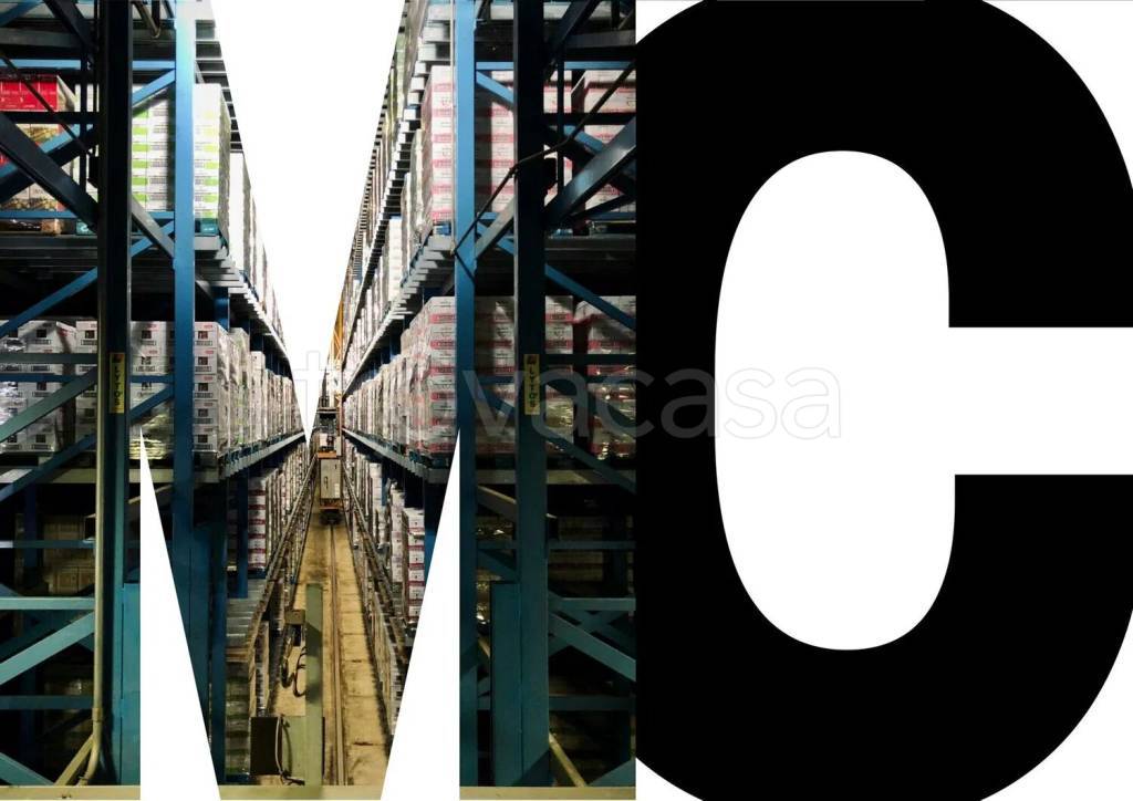 immagine annuncio 2 di 11