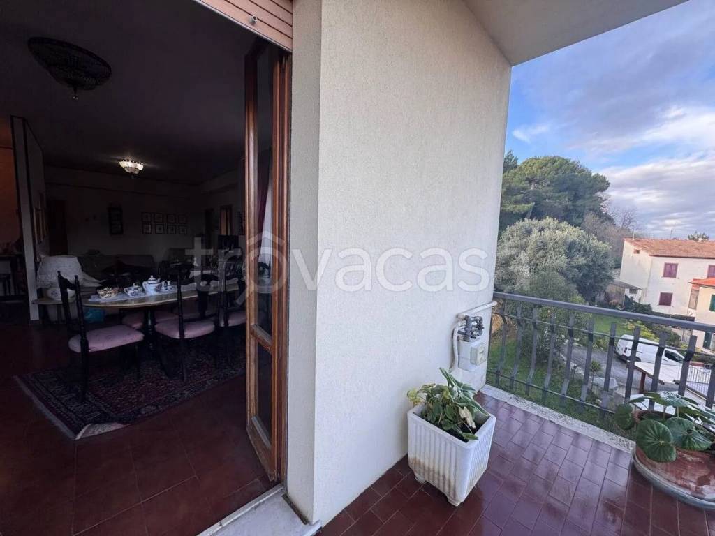 immagine annuncio 3 di 14