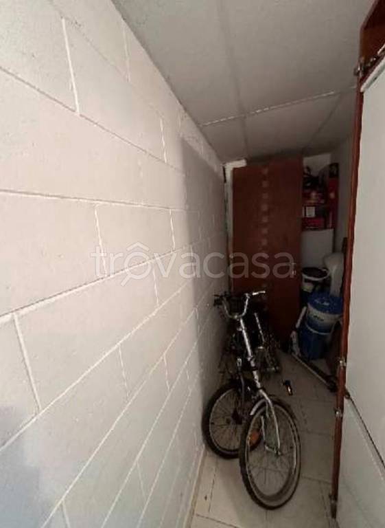 immagine annuncio 4 di 14