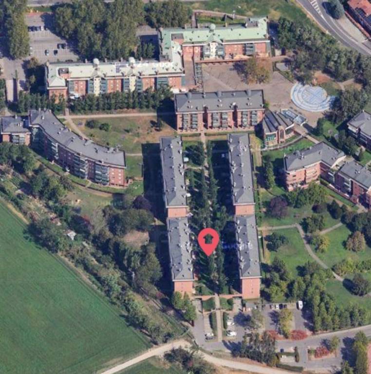 immagine annuncio 12 di 14