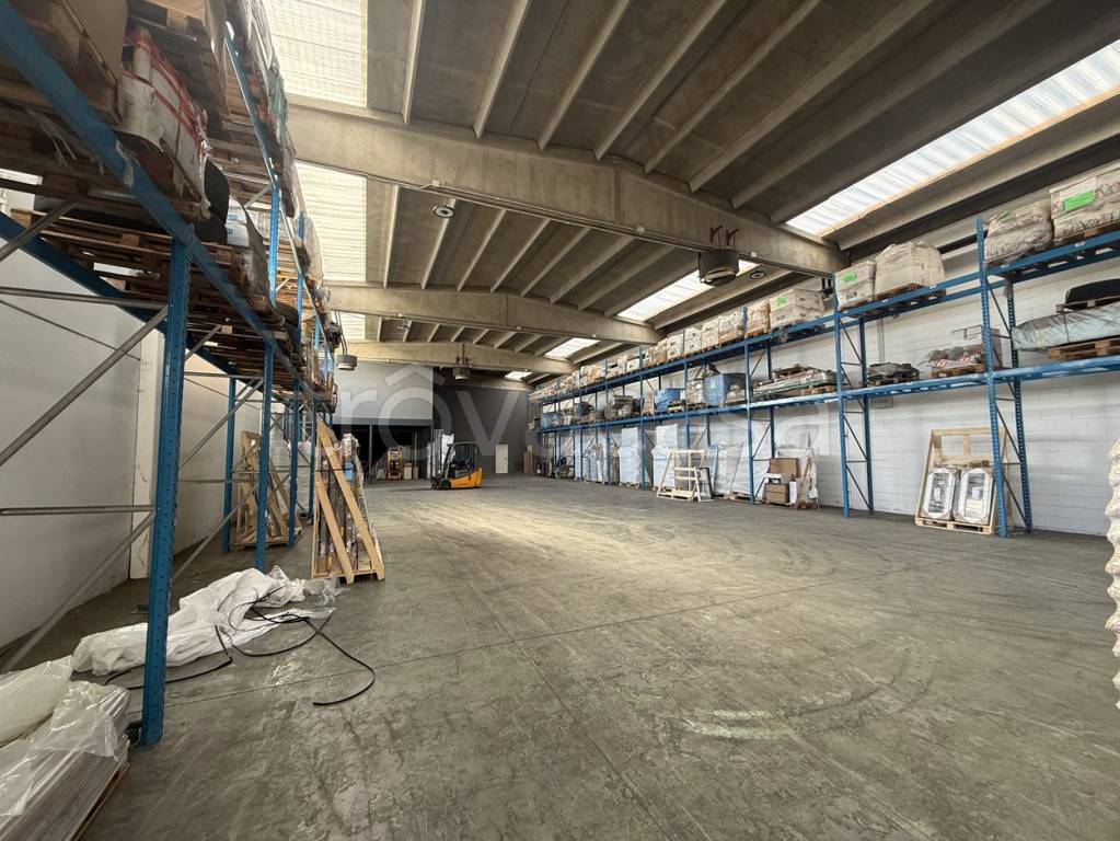 immagine annuncio 2 di 15