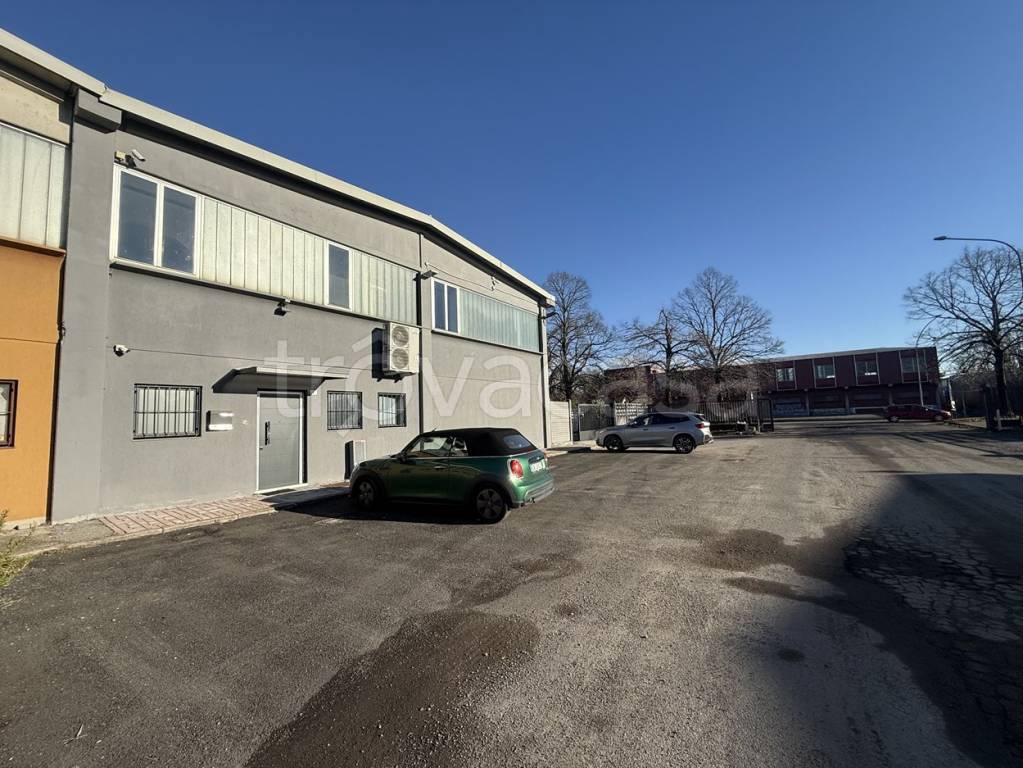 immagine annuncio 5 di 15