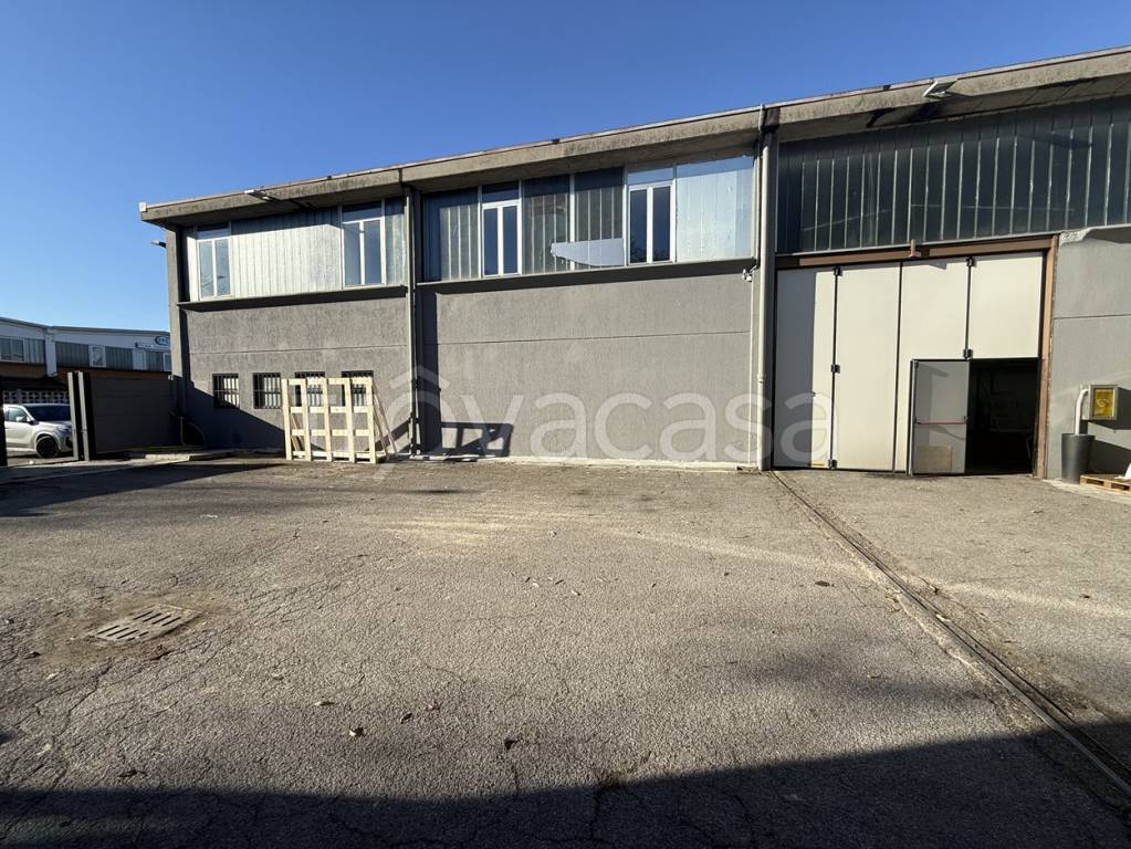 immagine annuncio 4 di 15