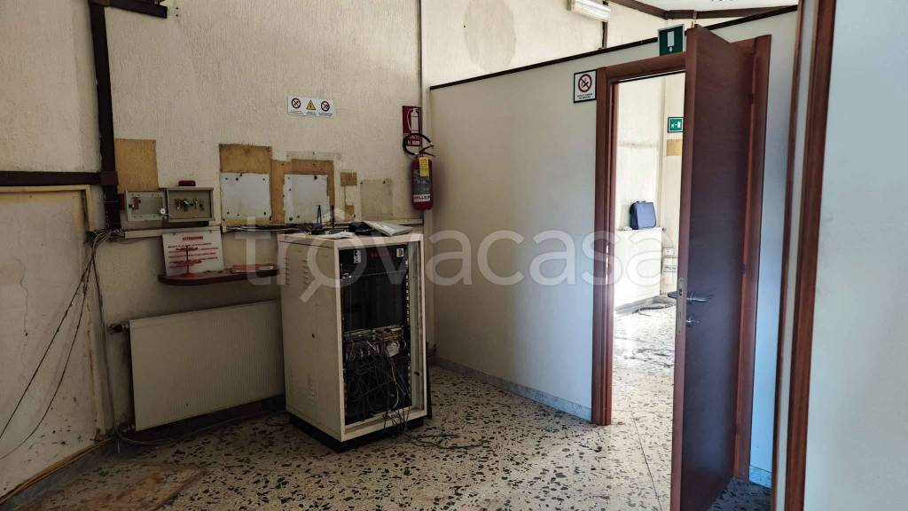 immagine annuncio 9 di 13