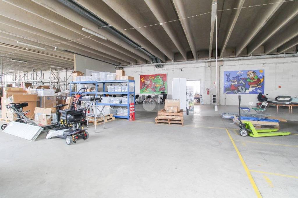 immagine annuncio 1 di 15