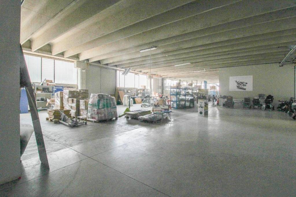 immagine annuncio 4 di 8