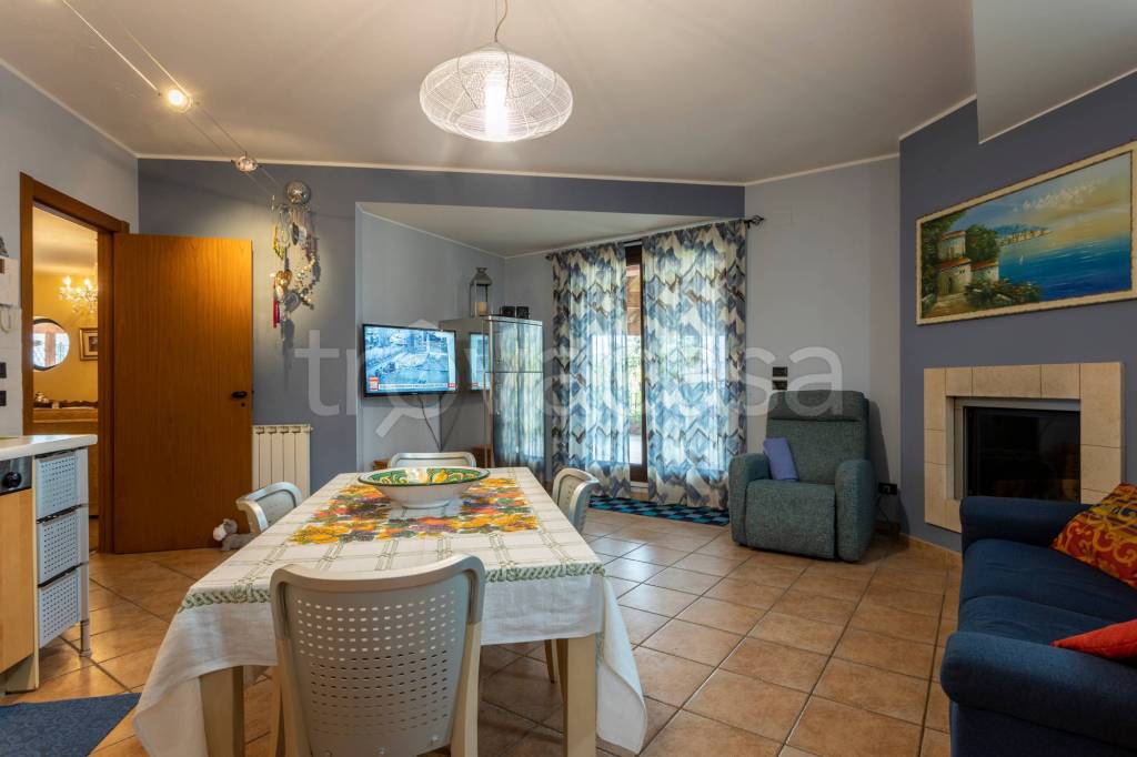 immagine annuncio 12 di 15