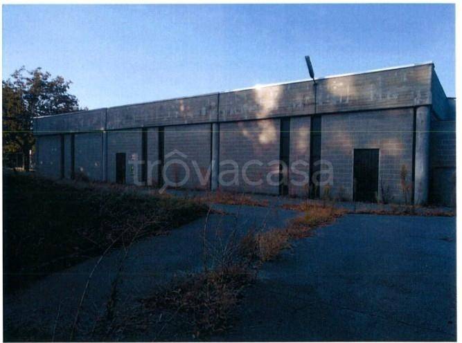 immagine annuncio 3 di 8