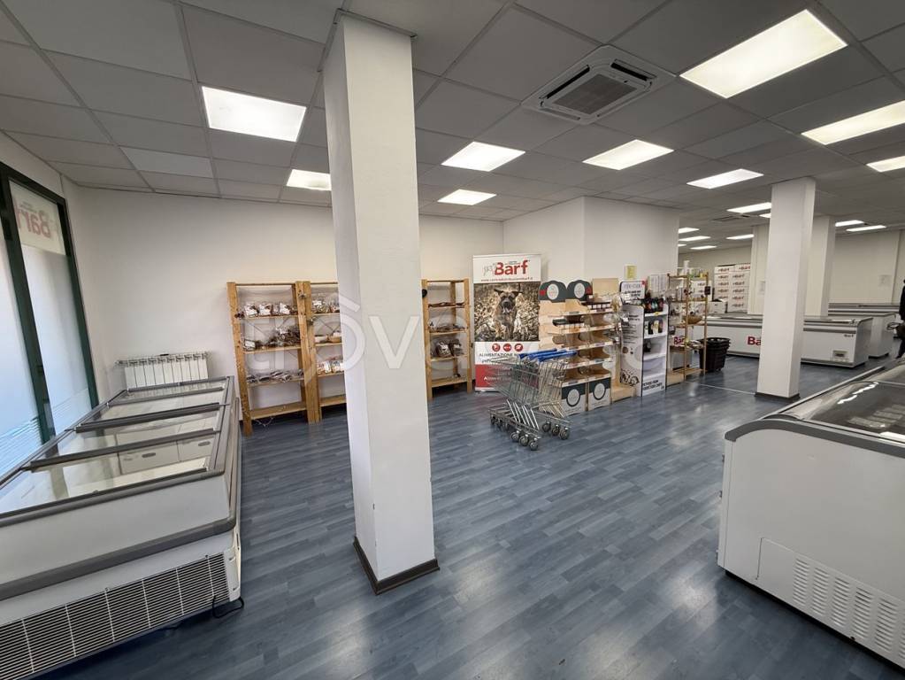 immagine annuncio 1 di 9