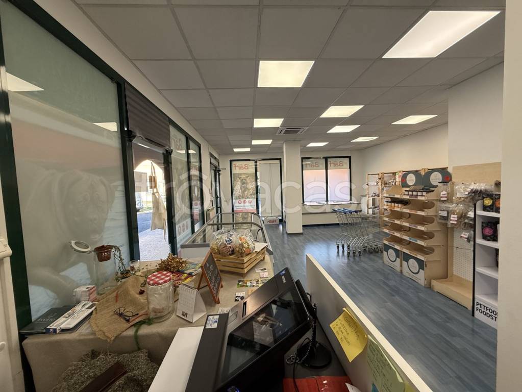 immagine annuncio 2 di 9