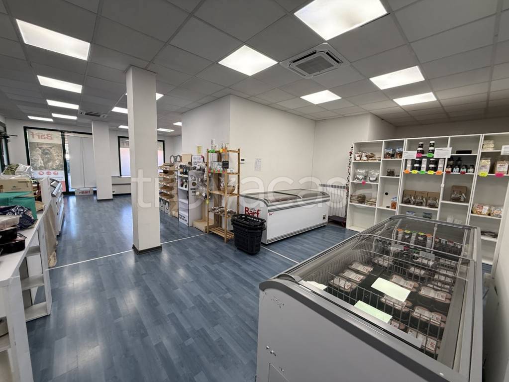 immagine annuncio 3 di 9