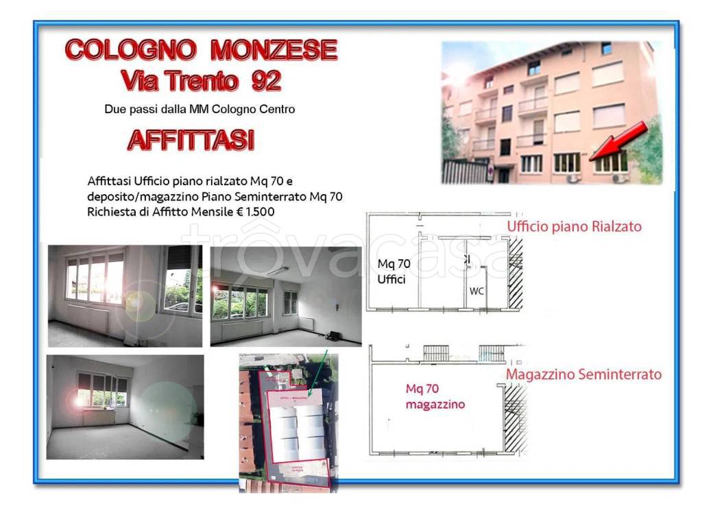 immagine annuncio 6 di 12