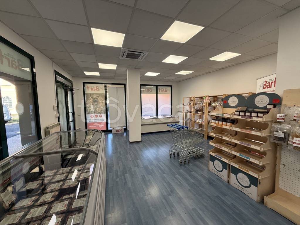 immagine annuncio 4 di 9