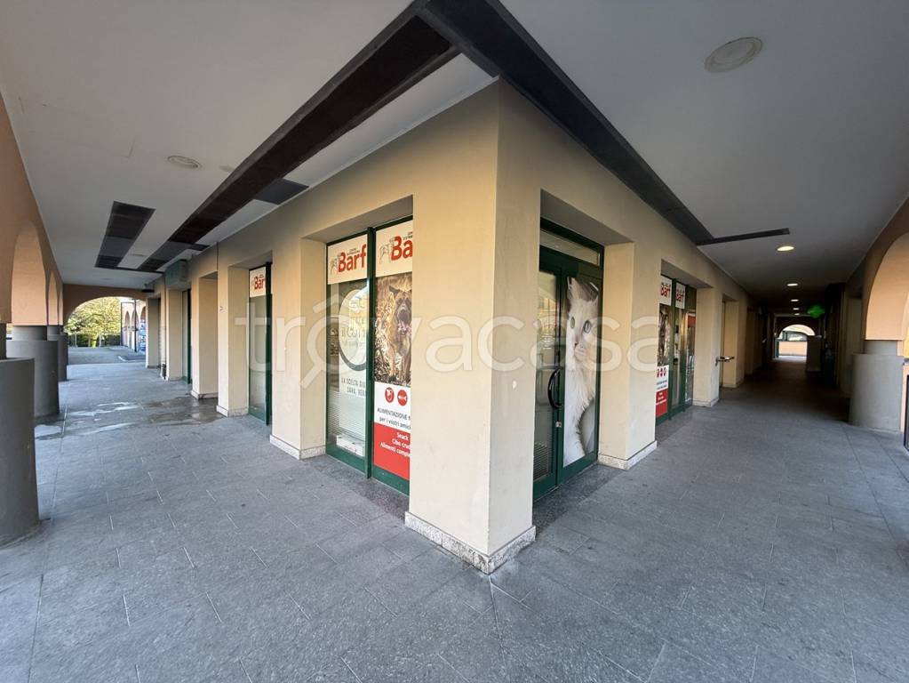 immagine annuncio 7 di 9