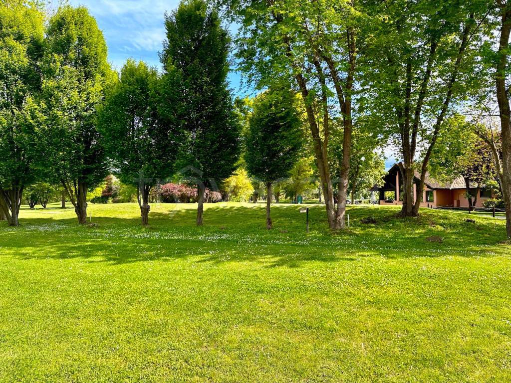 immagine annuncio 8 di 11